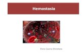 Hemostasia - Stoa Social · inflamação e hemostasia na iniciação e amplificação da trombogênese ... da coagulação) COAGULAÇÃO Exposição do colágeno Exposição do fator