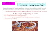 Partie 2 : reproduction Chapitre 1 : Les principales ...mcdubysvt.free.fr/DAEU/reproduction.pdf · DAEU- Cours Sciences de la Nature & de la Vie- Marc Cantaloube II - Les gonades