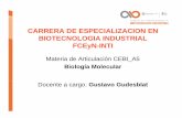 CARRERA DE ESPECIALIZACION EN BIOTECNOLOGIA ...biotecnologiaindustrial.fcen.uba.ar/wp-content/uploads/2010/04/... · CARRERA DE ESPECIALIZACION EN BIOTECNOLOGIA INDUSTRIALBIOTECNOLOGIA