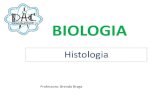 BIOLOGIA - cursodac.com.br · BIOLOGIA. Histologia (Estudo dos Tecidos) Células-tronco Tecidos conjunto de células especializadas em realizar uma ou mais funções. •São praticamente