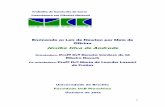 Jéssika Silva de Andrade - bdm.unb.brbdm.unb.br/bitstream/10483/4057/1/2012_JessikaSilvaAndrade.pdf · experimental no ensino das Leis de Newton para alunos do ... contextualizado