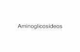 aula antimicrobianos 190410.ppt [Modo de Compatibilidade] · Aminoglicosídeos Mecanismo: Inibição da síntese protéica e redução da fidelidade de tradução do RNAm no ribossomo.