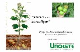 “DRIS em hortali ças - nutricaodeplantas.agr.br · houve uma resposta em termos de produção à aplicação, quando orientados pelo DRIS. Através do DRIS foram ... Fator de custo:
