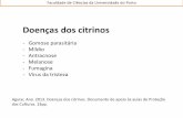 Doenças dos citrinos - webpages.icav.up.ptwebpages.icav.up.pt/pessoas/mccunha/AGII_AP/2017/Protecção... · Faculdade de Ciências da Universidade do Porto Míldio Phytophthora