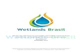 GRUPO DE ESTUDOS EM SISTEMAS WETLANDS …gesad.ufsc.br/files/2014/08/Boletim-Wetlands-Brasil-nº-2-Dezembro... · exemplo vem com o uso de Filtro de Macrófitas Flutuantes, ... O