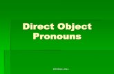 Direct Object Pronouns - Woodland Hills School District · Direct Object Pronouns le replaces a masculine singular direct object noun. la replaces a feminine singular direct object
