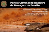 Marcus Vinicius de Oliveira Andrade Perito Criminal Federallilith.fisica.ufmg.br/wmcf2/2017_apr_MarcusVOAndrade.pdf · Perito Criminal Federal Polícia Federal – Setor Técnico-Científico