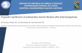 Dr. Bruno Pinto Ribeiro R4 em Cirurgia de Cabeça e ... de Revista/Bruno... · –55 amoxicilina-clavulonato (43%) –66 cefazolina (51%) –7 clindamicina-gentamicina (5%) Materiais