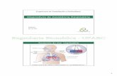Anatomia do sist. respiratório - UFABCebm.ufabc.edu.br/wp-content/uploads/2013/01/2013_Disp-Assist-Resp.pdf · Anatomia do sist. respiratório ... Fisiologia do sist. respiratório