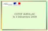 COTEF AURILLAC le 3 Décembre 2009 - …pro.formationauvergne.com/sites/pro.formationauvergne.com/files/... · AEB 09 324 H 10 parcours ITS (dont 4 parcours Energ Ren) 07 240 H 08