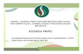 PAINEL: AGENDA PNPIC 2018-2026 SUSTENTABILIDADE, … de implementação... · PAINEL: AGENDA PNPIC 2018-2026 SUSTENTABILIDADE, IMPLEMENTAÇÃO, CONSOLIDAÇÃO PÓS-GRADUAÇÃO EM