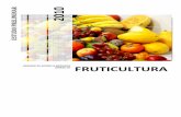 Estudo de Mercado Fruticultura Sebrae DF 2010intranet.df.sebrae.com.br/download/uam/Pesquisa/Fruticultura/Estudo... · De modo geral, o estudo evidencia que a fruticultura local tem