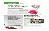Flores e rosas em São Paulo e Minas - Globo Ruralrevistagloborural.globo.com/EditoraGlobo/DownloadShow/pdf/0,27955... · tar com projetos de biodiesel apoiados ... agroindustriais”,