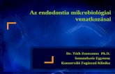 Az endodontia mikrobiológiai vonatkozásai - semmelweis.husemmelweis.hu/.../403.Az-endodontia-mikrobiológiai-vonatkozásai.pdf · Az endodontia mikrobiológiai vonatkozásai Dr.