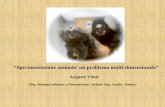 Sperimentazione animale: un problema multi-dimensionale” Vitale slides.pdf · “Sperimentazione animale: un problema multi-dimensionale ... (Jeremy Bentham, 1748-1832) ... Utilitarismo: