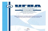 UNIVERSIDADE FEDERAL DA BAHIA - teclim.ufba.brteclim.ufba.br/site/material_online/dissertacoes/dis_maria_livia.pdf · dept” de engenharia ambiental - dea universidade federal da