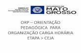 ORP ORIENTAÇÃO PEDAGÓGICA PARA ORGANIZAÇÃO CARGA …cos.seduc.mt.gov.br/upload/permanente/Arquivo/ORIENTAÇÕES... · 1 - Reparadora–A forma de organização na Carga horária