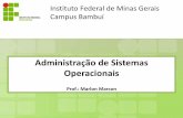 Instituto Federal de Minas Gerais Campus Bambuí£o existem impedimentos técnicos para particionar um pendrive ou disquete por exemplo. Formatação Formatar ...