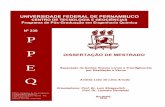 UNIVERSIDADE FEDERAL DE PERNAMBUCO - SICBOLSAS - …sicbolsas.anp.gov.br/sicbolsas/Uploads/TrabalhosFinais/2010.3952-8/... · Programa de Pós-Graduação em Engenharia Química ...