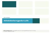 Middelengebruik - Richtlijnen jeugdhulp en jeugdbeschermingrichtlijnenjeugdhulp.nl/wp-content/uploads/2016/01/Richtlijn... · Richtlijn Middelengebruik voor jeugdhulp en jeugdbescherming