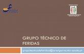 GRUPO TÉCNICO DE FERIDAS - ARS | Algarve · O Grupo Técnico de Feridas funciona, ... Promoção da prestação de cuidados de saúde de ... com úlcera de perna Protocolo da abordagem