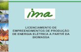 LICENCIAMENTO DE EMPREENDIMENTOS DE PRODUÇÃO DE ENERGIA ... · de identificação dos mesmos licenças integradas às ... distantes da rede, ou a necessidade de energia de empreendimentos