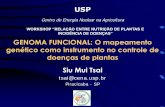 Apresentação do PowerPoint - IPNI - Brasilbrasil.ipni.net/ipniweb/region/brasil.nsf... · EQUIPE ESALQ/USP: Dr. Adriano Azevedo Filho (Depto. de Economia, Administração e Sociologia)