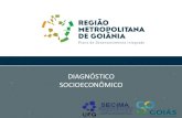 Região Metropolitana de Goiânia - pdi-rmg.secima.go.gov.brpdi-rmg.secima.go.gov.br/wp-content/uploads/2017/09/PDIRMG_socioec... · Construção Senador Canedo Indústrias de transformação
