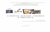 CAPITAL SOCIAL: TEORIA E PRÁTICAcapitalsocialsul.com.br/capitalsocialsul/arquivos/mt...LINHA DE PESQUISA: SOCIEDADE, CULTURA E PODER CAPITAL SOCIAL: TEORIA E PRÁTICA ORGANIZADORES: