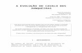 A EVOLUÇÃO DO CAVALO MANGALARGA - .:: …pedigreedaraca.com.br/ev_cav_junqueiras.doc · Web viewEduardo Junqueira Fazenda Granvia São Joaquim da Barra – SP Texto de 1982 –