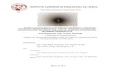 INSTITUTO SUPERIOR DE ENGENHARIA DE LISBOA - …repositorio.ipl.pt/bitstream/10400.21/3623/1/Dissertação.pdf · de valas, colocação de tubagem, perfuração horizontal, trabalhos