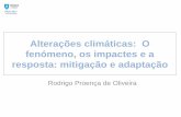 Alterações climáticas: O fenómeno, os impactes e a ... · DASE 2017 Tópicos •As causas das alterações climáticas ... Impactos das alterações climáticas em infra-estruturas.