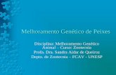 Melhoramento Genético de Peixes - javali.fcav.unesp.brjavali.fcav.unesp.br/sgcd/Home/departamentos/zootecnia/SANDRAAIDAR... · Tambaqui - Colossoma macropomum Cachapira Cachara ±