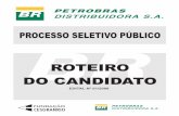 PROCESSO SELETIVO PÚBLICO - okconcursos.com.br · 1 PETROBRAS DISTRIBUIDORA S.A. PROCESSO SELETIVO PÚBLICO PSP- 1/2008 - EDITAL NO 1 PETROBRAS DISTRIBUIDORA S.A. - realizará processo
