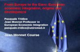 Pasquale Tridico Jean Monnet Professor in European ...host.uniroma3.it/centri/jeanmonnet/pdf/dispensa1_new.pdf · Pasquale Tridico Jean Monnet Professor in European Economic Integration