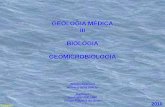 GEOLOGIA MÉDICA iii BIOLOGIA GEOMICROBIOLOGIA · Intemperização de minerais e rochas. Gossanização de massas de sulfetos. Deposição de carbonatos. Dolomitização de calcários.