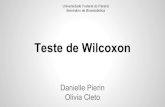 Teste de Wilcoxon - leg.ufpr.brce001:wilcoxon_1_.pdf · Teste de Postos com Sinais de Wilcoxon para Pares Combinados Esse teste é usado com dados amostrais em pares. Usando postos,