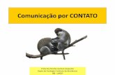 Comunicação por CONTATO - ibb.unesp.br · DESVANTAGENS – limitada a um único receptor – Organismos devem permanecer em contato direto . GROOMING ‘CATAÇÃO’ Harlow, 1962