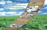 Produção Responsável no Agronegócio Soja - ABIOVE · 17 e 18 19 Produção Responsável no Agronegócio Soja Mesa Redonda da Soja Responsável - RTRS Moratória da Soja O que