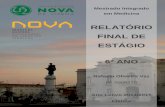 RELATÓRIO FINAL DE ESTÁGIO - run.unl.pt Oliveira Vaz... · também o Serviço de Urgência, Sessões Teóricas de Imunoalergologia, Consulta Externa e Exames ... (2º Semestre)