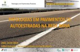 PATOLOGIAS EM PAVIMENTOS DE AUTOESTRADAS NA … Matos.pdf · Patologias em Pavimentos Flexíveis Pavimentos de autoestradas Fendilhamento Deformações Desagregação da c. desgaste