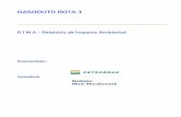 GASODUTO ROTA 3 - licenciamento.ibama.gov.brlicenciamento.ibama.gov.br/Dutos/Gasoduto/Gasoduto Rota 3/17 - RIMA... · RIMA - Relatório de Impacto Ambiental – PETROBRAS – Revisão