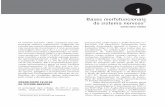 Bases morfofuncionais do sistema nervosoanakarkow.pbworks.com/w/file/fetch/98598091/tatiaula1 (1).pdf · A: variações morfológicas das células gliais presentes no sistema nervoso