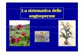 La sistematica delle angiosperme - Uneuropa.uniroma3.it/biologia/documenti/7a063611-7052-4a29-a171-ac1c... · La SISTEMATICA è lo studio comparativo degli organismicomparativo degli