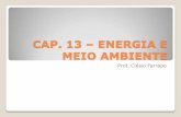 CAP. 13 – ENERGIA E MEIO AMBIENTEfiles.analisegeografica.webnode.com.br/200000048-a49c6a8849... · Em 1962, foi criada a Eletrobras (Centrais Elétricas Brasileiras S.A.) para controlar