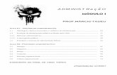 ADMINISTRacaO MÓDULO I - diferencialensino.com.br file... burocrática e sistêmica da administração ... 1.2 Evolução da administração pública no Brasil após 1930 ... Administração