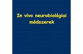 In vivo neurobiológiai módszerek - physiology.elte.huphysiology.elte.hu/gyakorlat/BSc_30h/in-vivo-neurobiologia.pdf · – voltametria • anyagok beadása – agyszövetbe juttatás