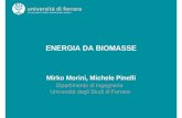 ENERGIA DA BIOMASSE - Il biogasilbiogas.it/biogas-ricerche-e-studi/energia-da-biomasse.pdf · ENERGIA DA BIOMASSE Mirko Morini, Michele Pinelli • La biomassa è una fonte rinnovabile