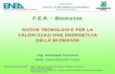 F.E.R. - Biomasse - retiasrl.eu · convegno “kyoto: clima energia economia” gela 23-24 aprile 2008 f.e.r. - biomasse nuove tecnologie per la valorizzazione energetica delle biomasse
