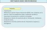 METABOLISMO MICROBIANO - UNCagro.unc.edu.ar/.../wp-content/uploads/2014/04/2-metabolismo.pdf · METABOLISMO MICROBIANO Clasificación Metabolismo Quimio-órgano-heterótrofo (QOH).
